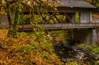 Covered bridge over Cedar Creek in Woodland, Washington State, USA Art Print
